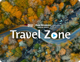 Travel Bound? Our Blog Went There.
