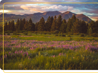 Bozeman, MT